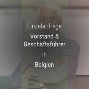 Einzelner Gehaltsvergleich - Vorstand & Geschäftsführer Belgien