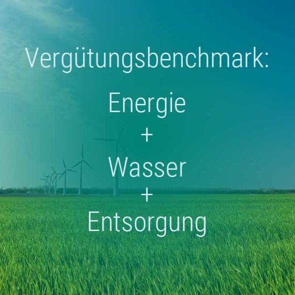 Kienbaum Verguetungsbenchmark: Energie, Wasser, Entsorgung