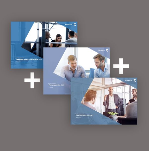 Coverbild Studienpaket: Geschäftsführung, Führungskräfte & Spezialist:innen 203 Kienbaum Gehaltsstudie